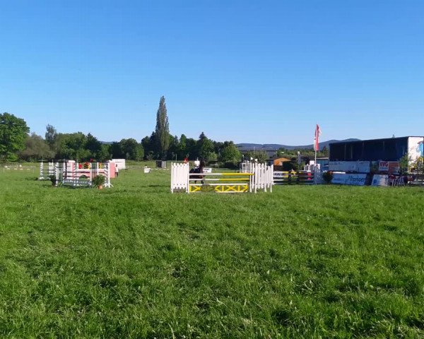 Reitturnier Zittau 2017