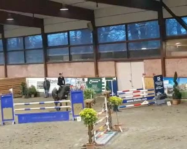 Reitturnier Hamburg-Friedrichshulde 2018