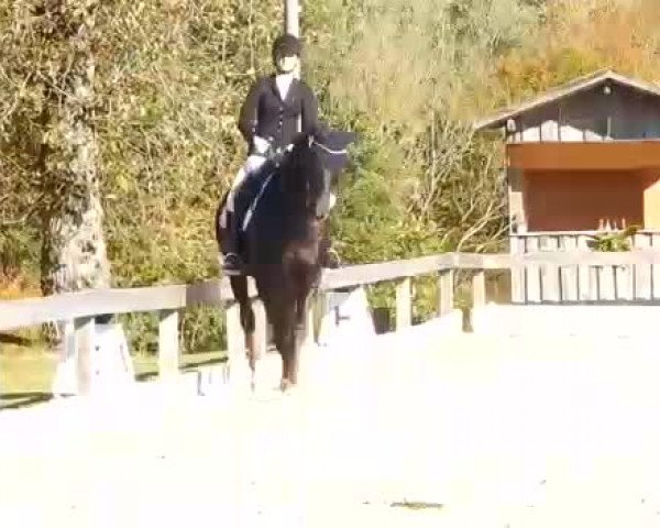Reitturnier Satzbach 2017