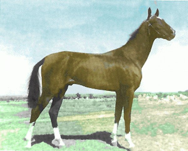 stallion Gelishikli (Akhal-Teke, 1949, from Fakir-Sulu)