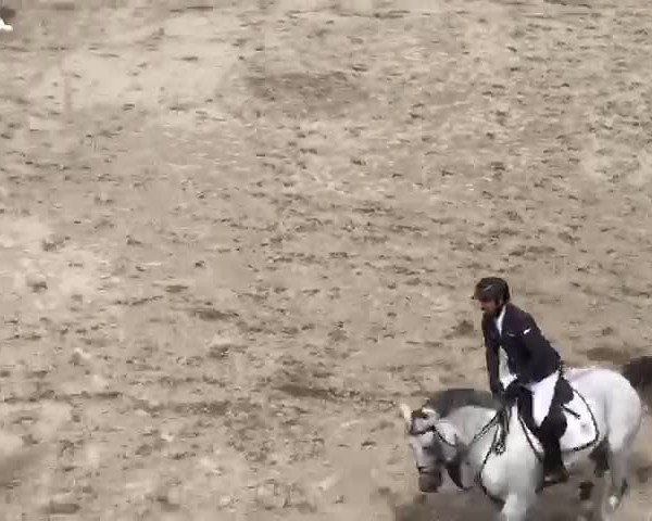 Video of Carquilot