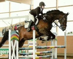 dressage horse Passatwind (Hanoverian, 2003, from Paradiesvogel)