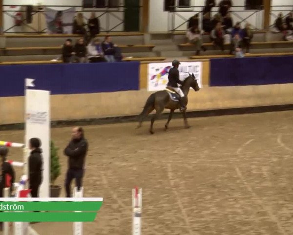 Video of Rainbows Mocha