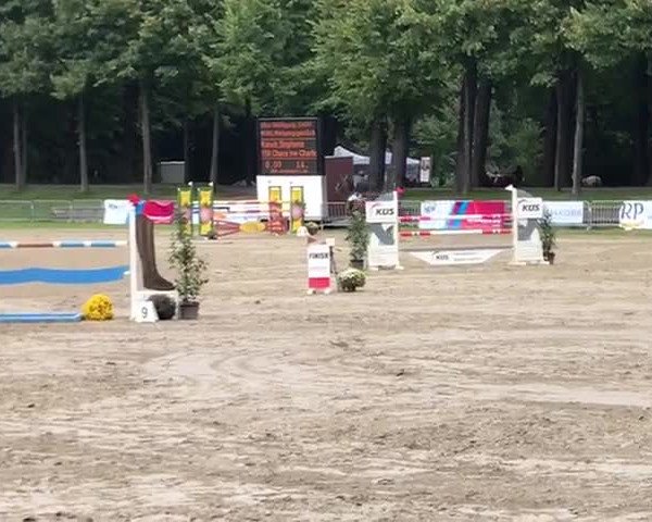 Video of Chase me Charlie
