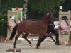 broodmare Creme de la Creme JSO (German Riding Pony, 2011, from FS Champion de Luxe)