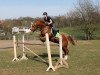 jumper GiS Laffitte (German Warmblood, 1992, from Landsturm)