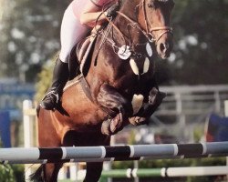 broodmare Goldica 38 (Oldenburg, 1996, from Golden Grannus)