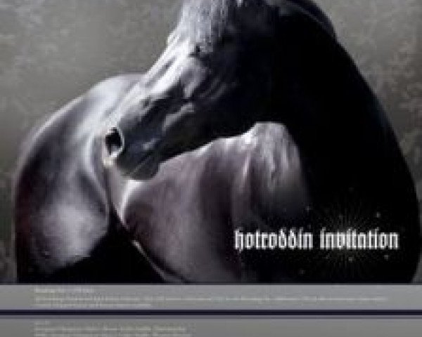 stallion Hotroddin Invitation (Quarter Horse,  , from Invitation Only)