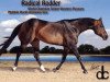 Deckhengst Radical Rodder (Quarter Horse, 1991, von Hotrodders Jet Set)