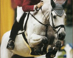 broodmare Waldrose (Bavarian, 1993, from Cantus)