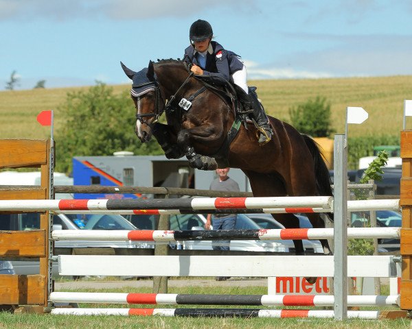 broodmare Victory 18 (Swedish Warmblood, 2002, from Oliver)