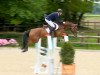 jumper Quinton 11 (Oldenburg, 2009, from Quality 9)