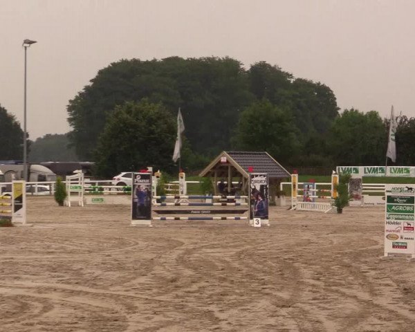 Video of calvato-kr