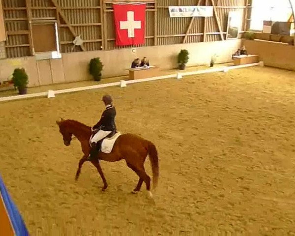 Video of Sorpresa