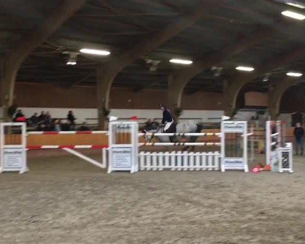 Video of Cento's Cruiser