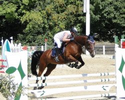 jumper Lucelein (Oldenburg show jumper, 2008, from Luxius)