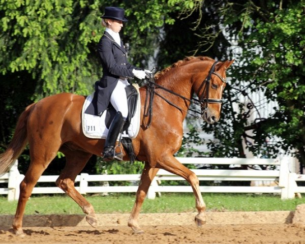 dressage horse Laurent Henri (Rhinelander, 1999, from Laurent Premier S)