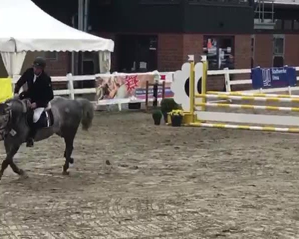 Video of JS Cassiopeia