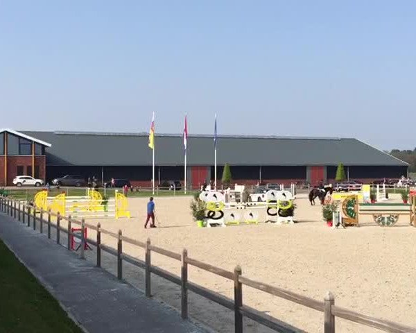 Video of Arminia B.