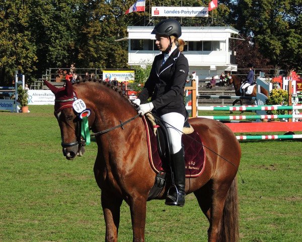 jumper Petit Hidalgo (German Riding Pony, 2004, from Crown Hartbreaker)