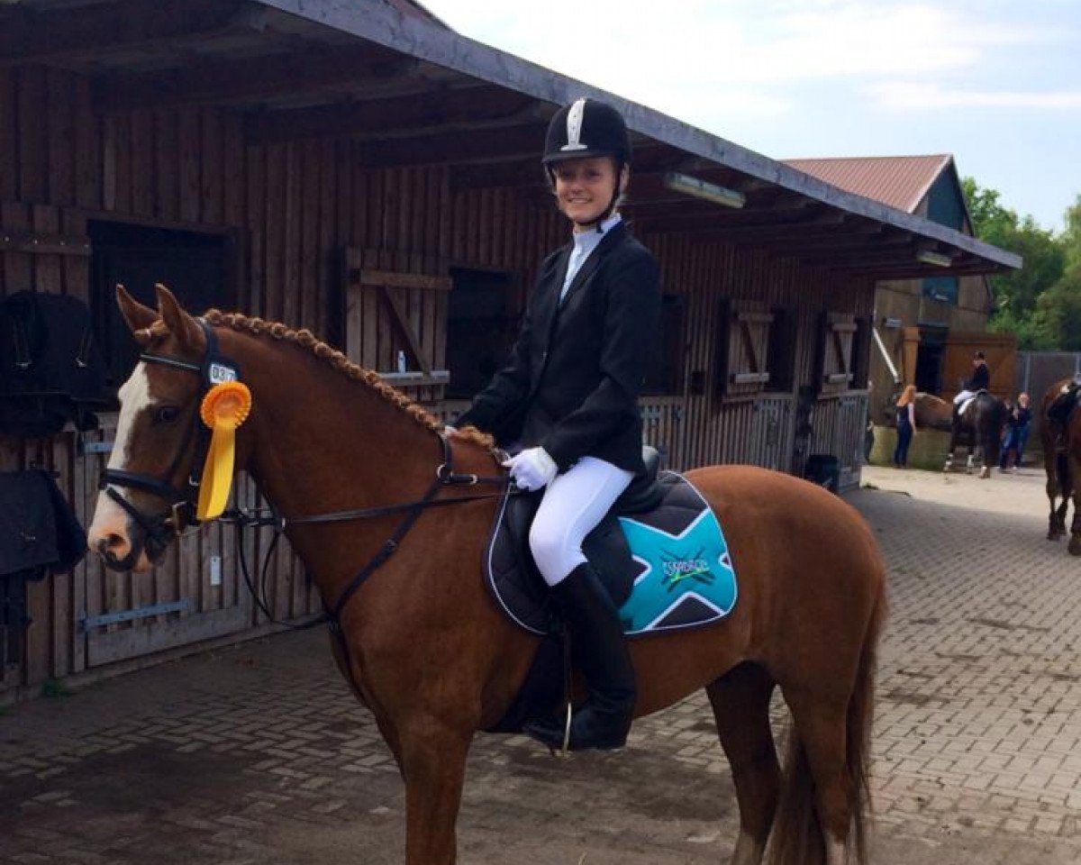 jumper Petit Peter Pan (German Riding Pony, 2008, from Petit Marashino)