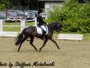 dressage horse So ein Glück (German Riding Pony, 2006, from Benetton S)