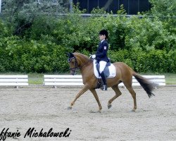 dressage horse Vilas-Suny (German Riding Pony, 2000, from Vilas)