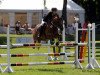 jumper Rocky Biagiotti (German Riding Pony, 1999)