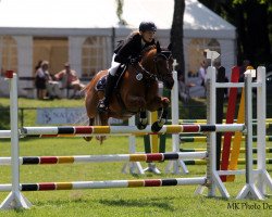 jumper Rocky Biagiotti (German Riding Pony, 1999)