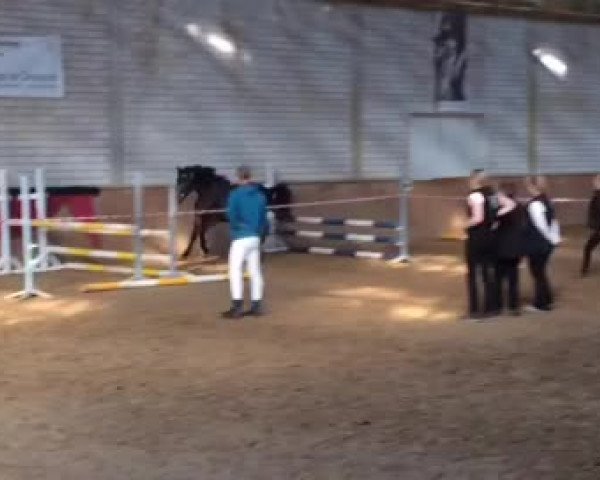 Video of Raffelsbrander Captain Peanut
