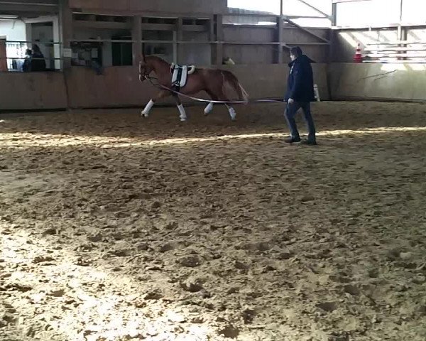 Video of RM Double Check