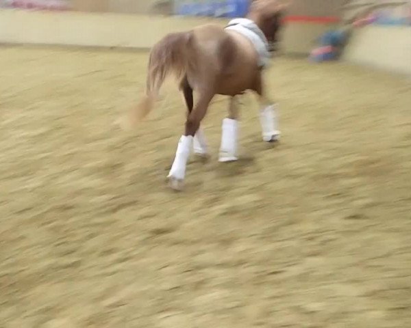 Video of RM Double Check