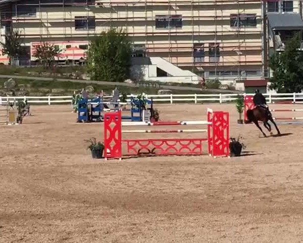 Video of Champus 98