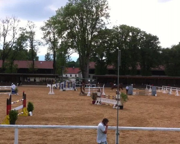 Reitturnier Schwaiganger 2014