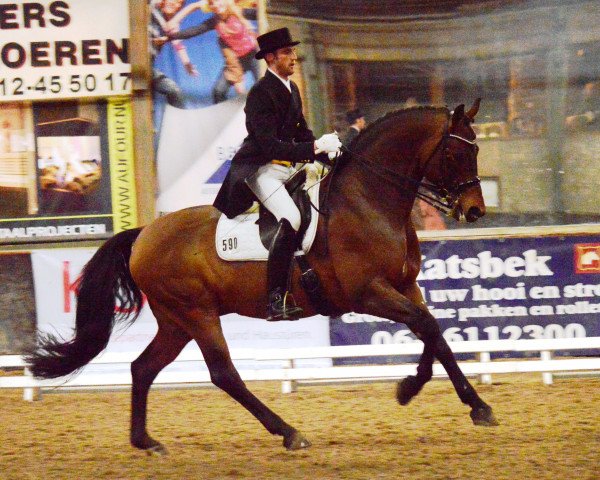 dressage horse Renegade RH (Rhinelander, 2002, from Riccione)