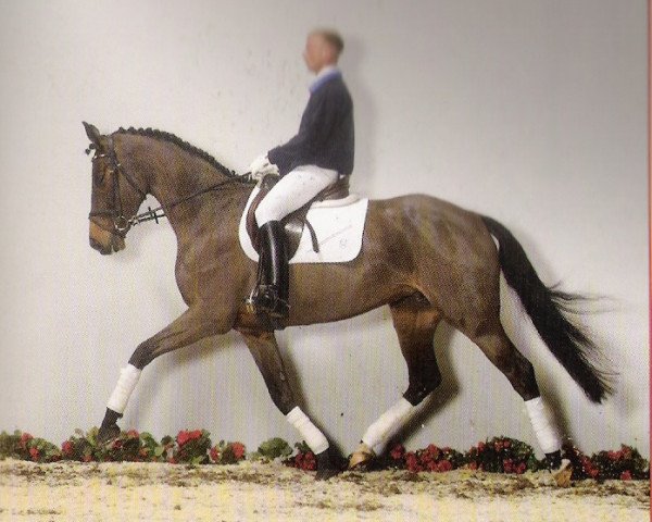 broodmare Pia Mia 2 (Holsteiner, 2000, from Leandro)