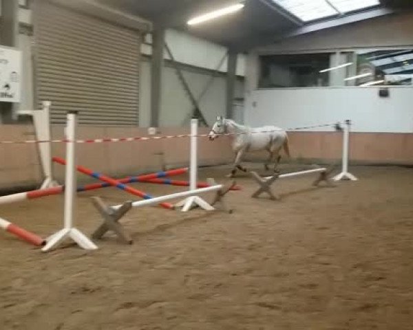 Video of Fleur D'Avril Deefacker