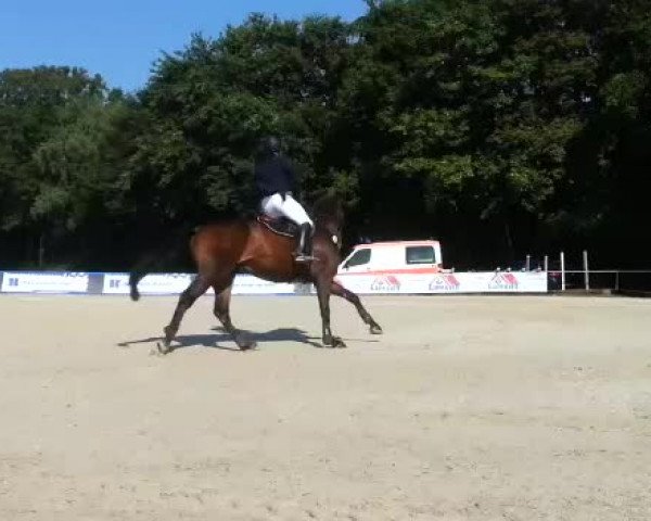 Video of Quidam's Prinz F