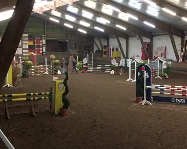 Reitturnier Hamburg-Hummelsbüttel 2016