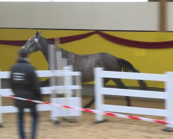 Video of Pretty Fleur SL