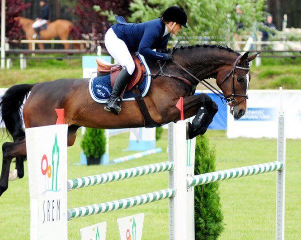 Pferd Bocardia (Polnisches Warmblut, 2008, von Cordial)