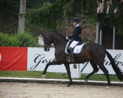 dressage horse Farven (Hanoverian, 2015, from Blue Hors Farrell)