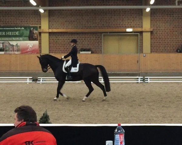 Reitturnier Unna-Massen 2016