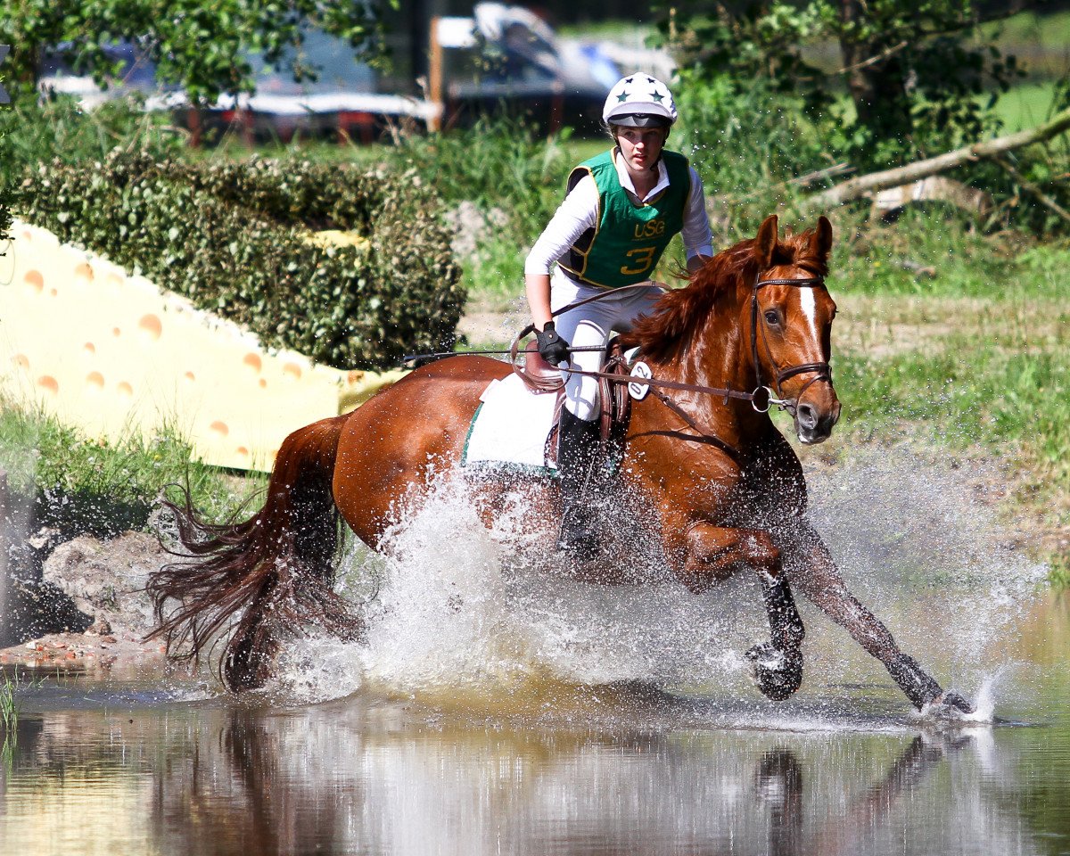broodmare Aconda 17 (Hanoverian, 1996, from Acord II)