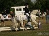 dressage horse John vom Neutor (German Riding Pony, 2000)