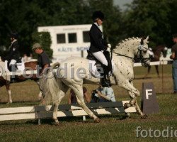 dressage horse John vom Neutor (German Riding Pony, 2000)