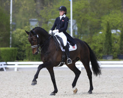 dressage horse Fernet D (Westphalian, 2003, from Fürst Heinrich)