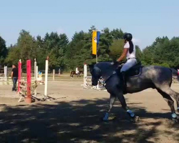 Video of Carbacan 2