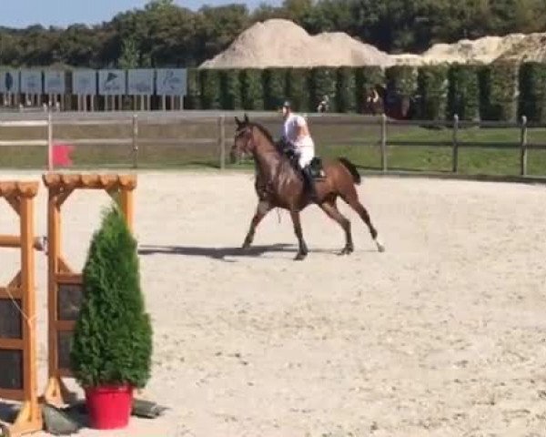 Video of Cedric N
