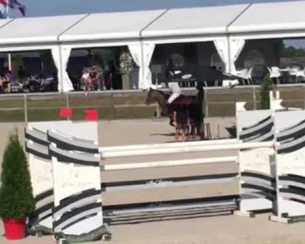 Video of Cedric N